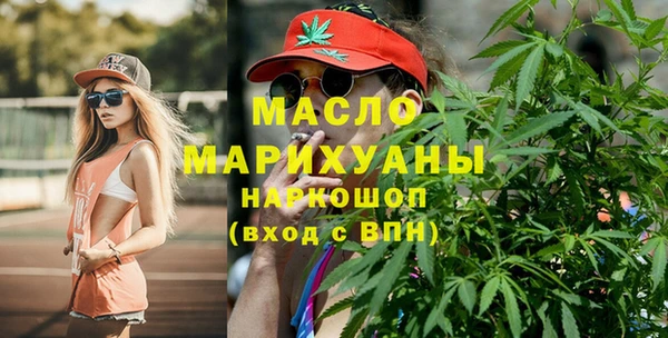 шишки Ельня