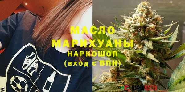 шишки Ельня
