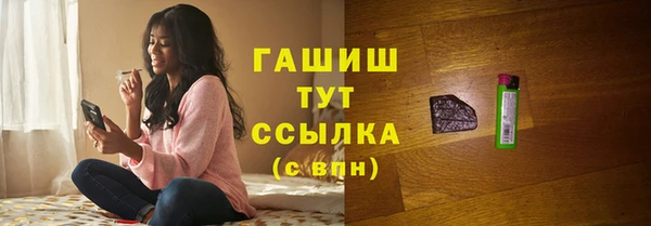 шишки Ельня
