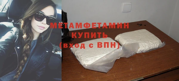 шишки Ельня