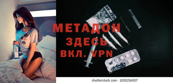 шишки Ельня