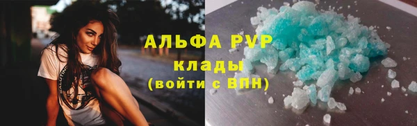 шишки Ельня