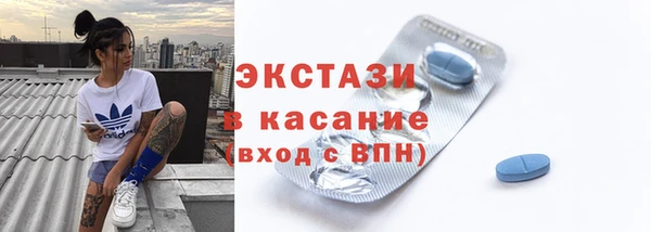 шишки Ельня