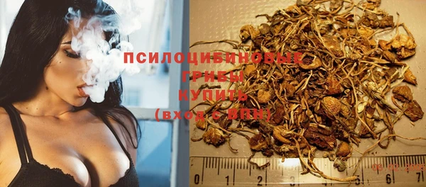 прущий лед Елабуга