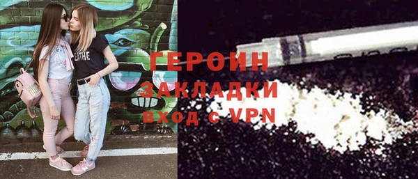 шишки Ельня