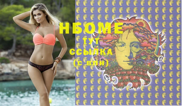 шишки Ельня