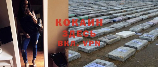 шишки Ельня