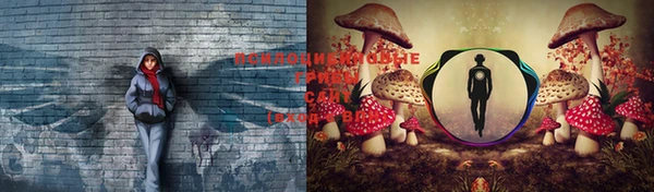 таблы Елизово