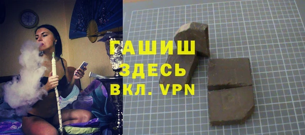 шишки Ельня