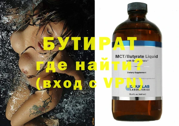 шишки Ельня