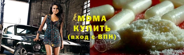 шишки Ельня