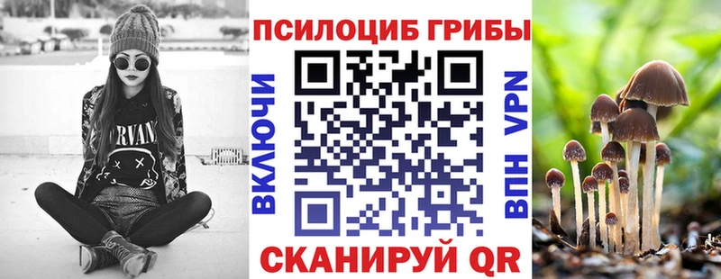 Галлюциногенные грибы Magic Shrooms  Купить  Топки 